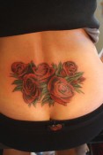 Roses