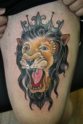 lion