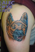 germansheppy