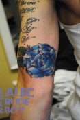 rose