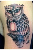 Boston Owl