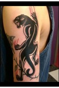 Boston Panther