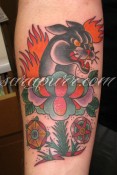 pantherflower