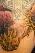 thistle