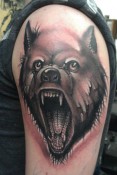 wolf